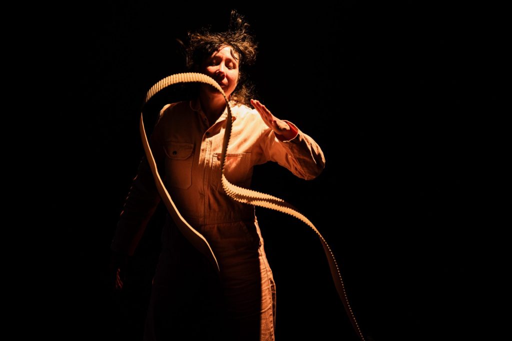 07.INCARNATIONS_TRANSITOIRES