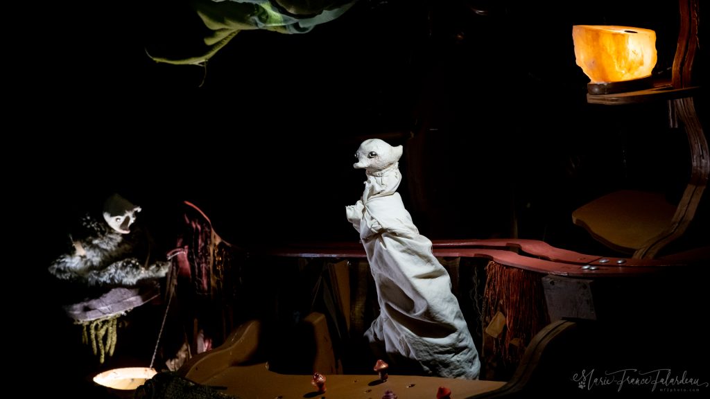 45, de la Taupinière