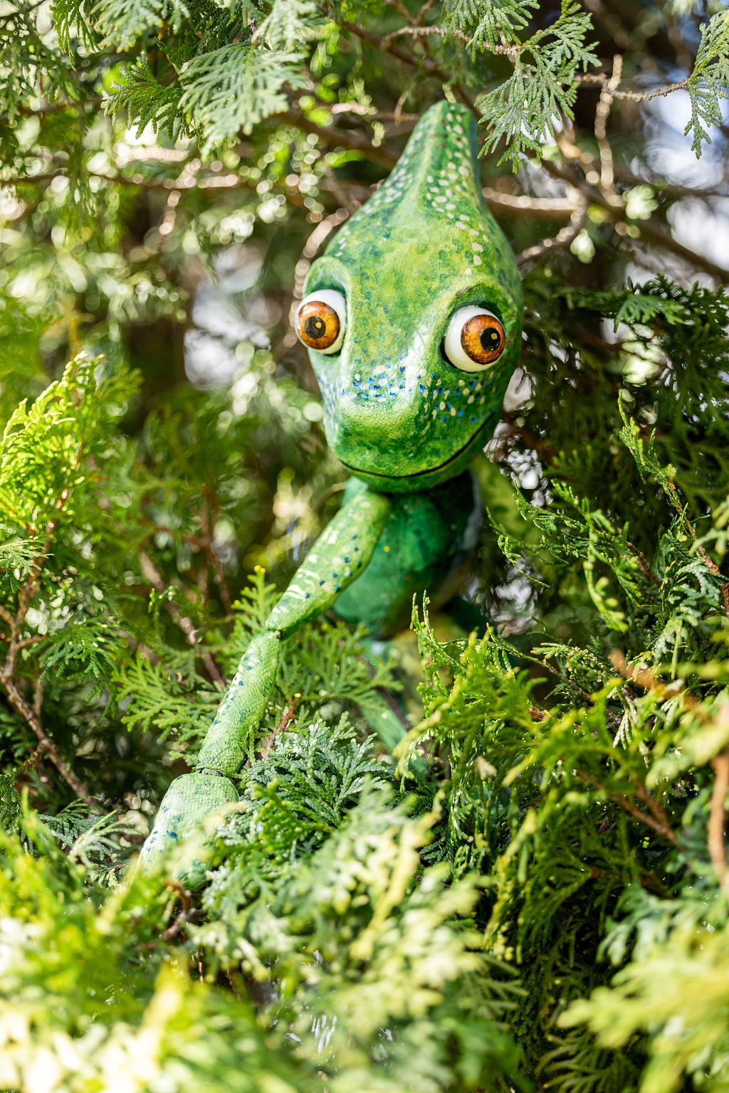 Un caméléon près de chez vous