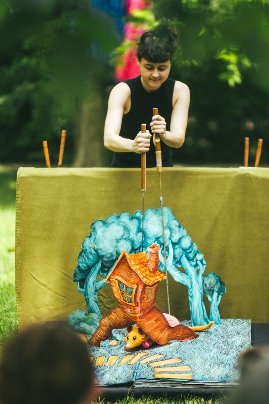 L&rsquo;arrivée des opossums