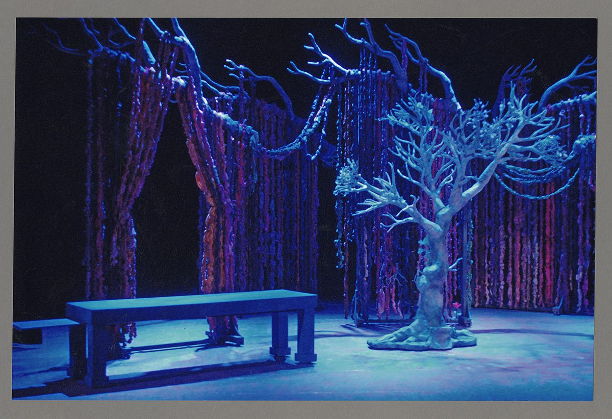 Balade au pays de la forêt qui marche