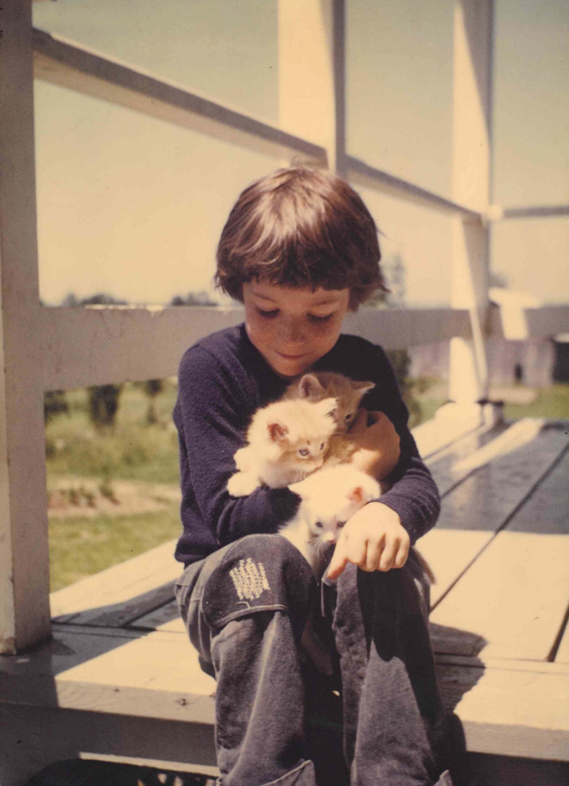 Absence des extraterrestres