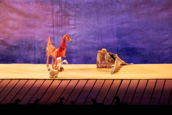 Théâtre de l'Oeil - Les saisons du poulain 2019 © Michel Pinault gaudeo