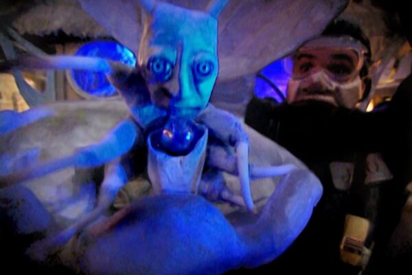 Bizzarium Aquarium, Les Sages Fous Gaudeo