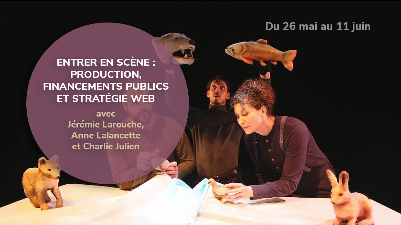 Entrer en scène : production, financements publics et stratégie web